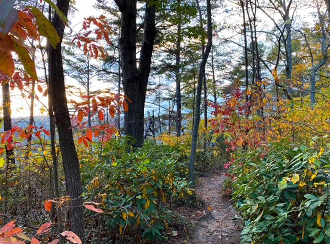 Hiking photo during autumn