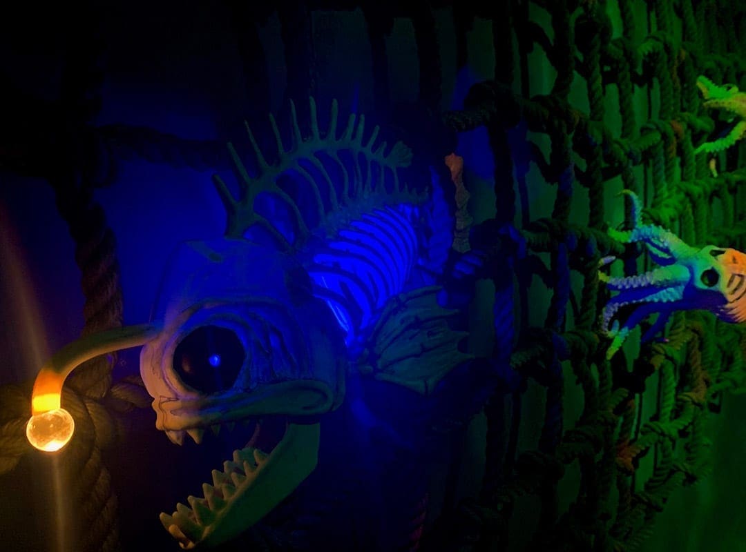Underwater fish