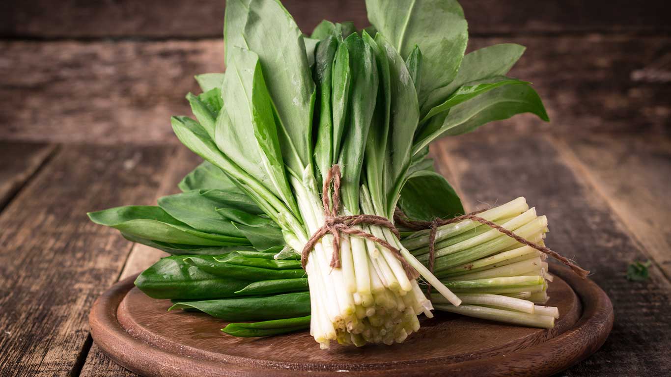 Bundle of wild leeks on wooden tray for our ramp hunting blog