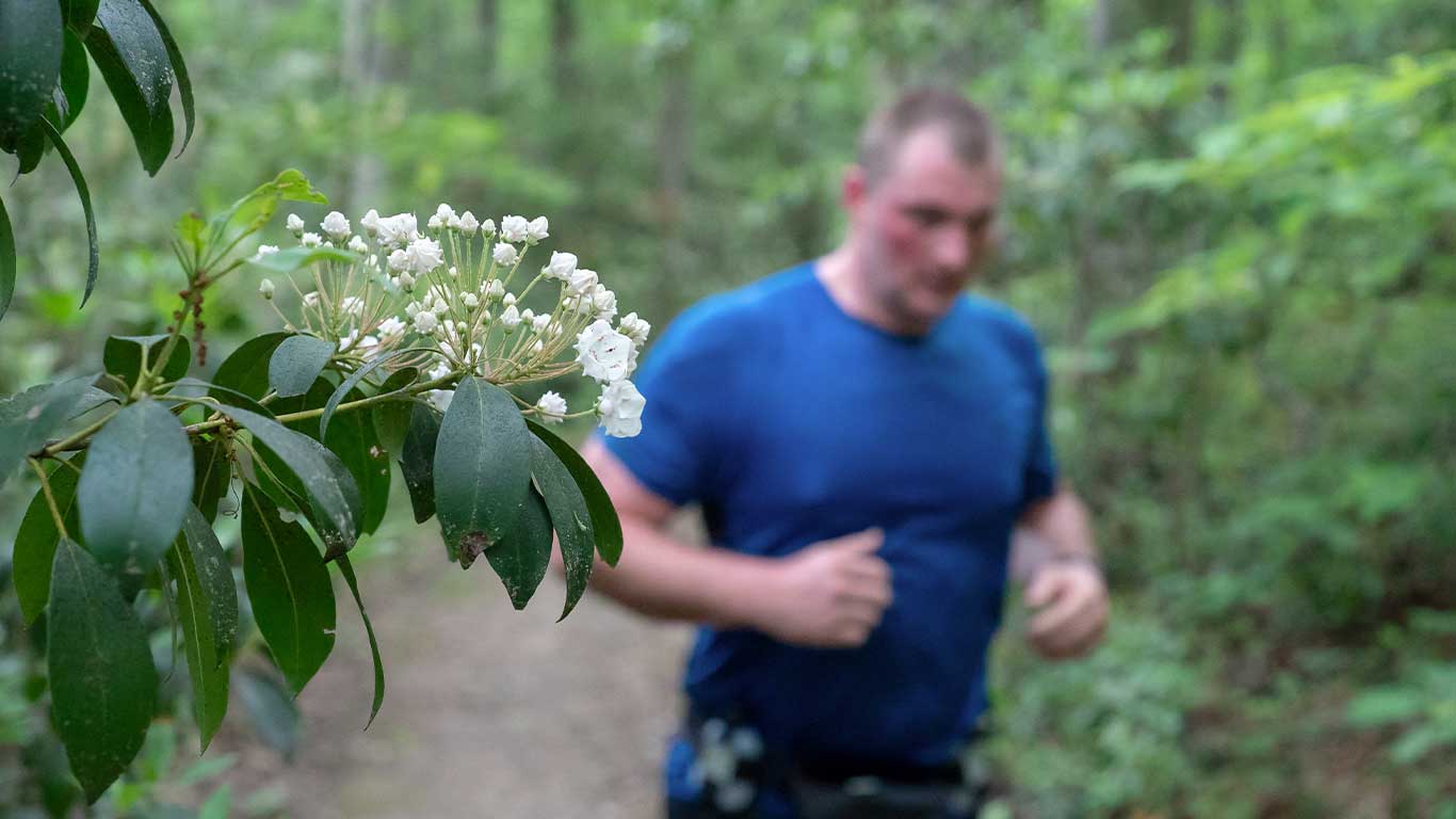 Photo of flower with trial runner in the background 